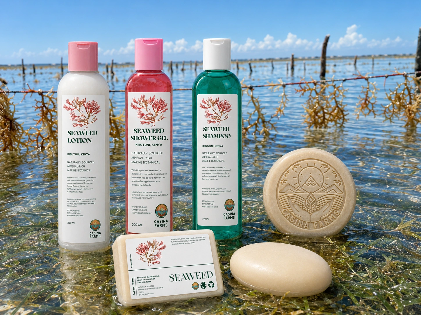 Seaweed Hair Care